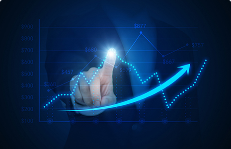 完善制度，规范流程，严格履行信息披露义务