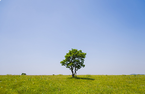 完善制度，规范流程，严格履行信息披露义务