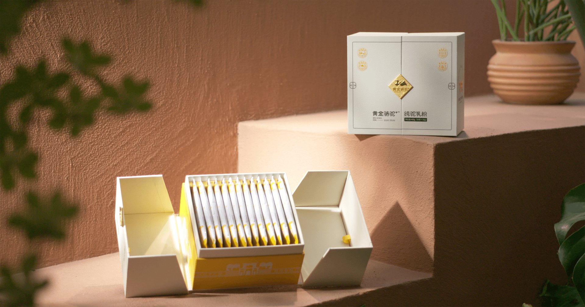 定位小众高端乳粉，pa视讯推出驼奶品牌“黄金骆驼+”，角逐乳品新市场！